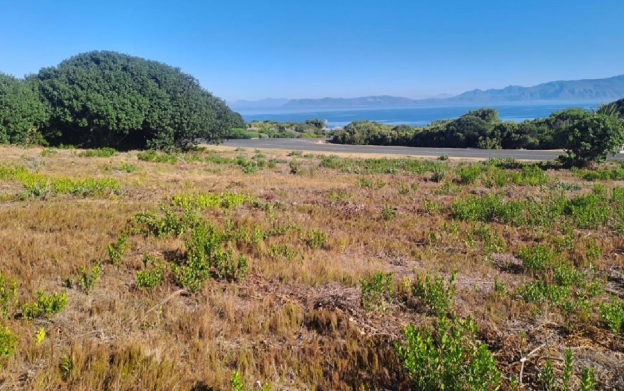 0 Bedroom Property for Sale in De Kelders Western Cape